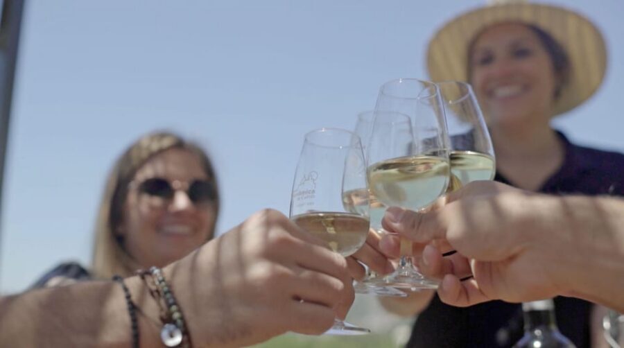 From Málaga: Ronda, Wine & Olive Oil Tasting Small Group - Key things you’ll like most
