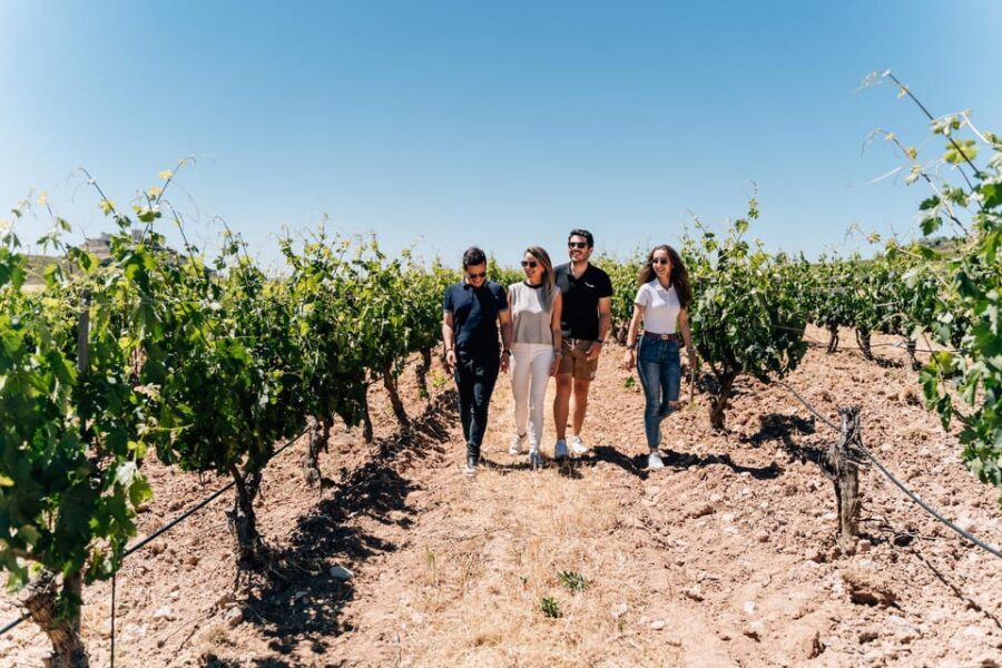 From Málaga: Ronda, Wine & Olive Oil Tasting Small Group - Your free time in Ronda: lunch on your terms