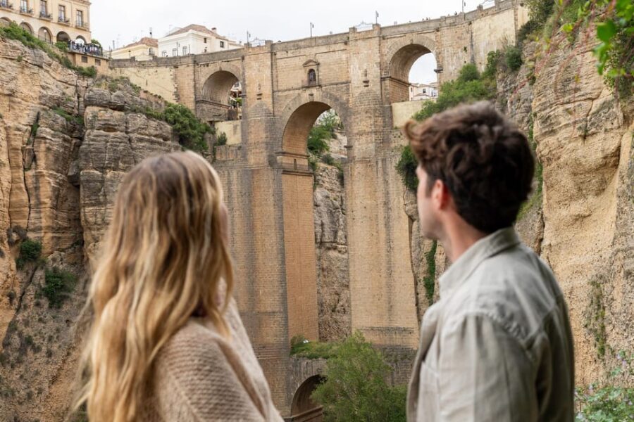 From Málaga: Ronda, Wine & Olive Oil Tasting Small Group - Price and value: what you’re really paying for