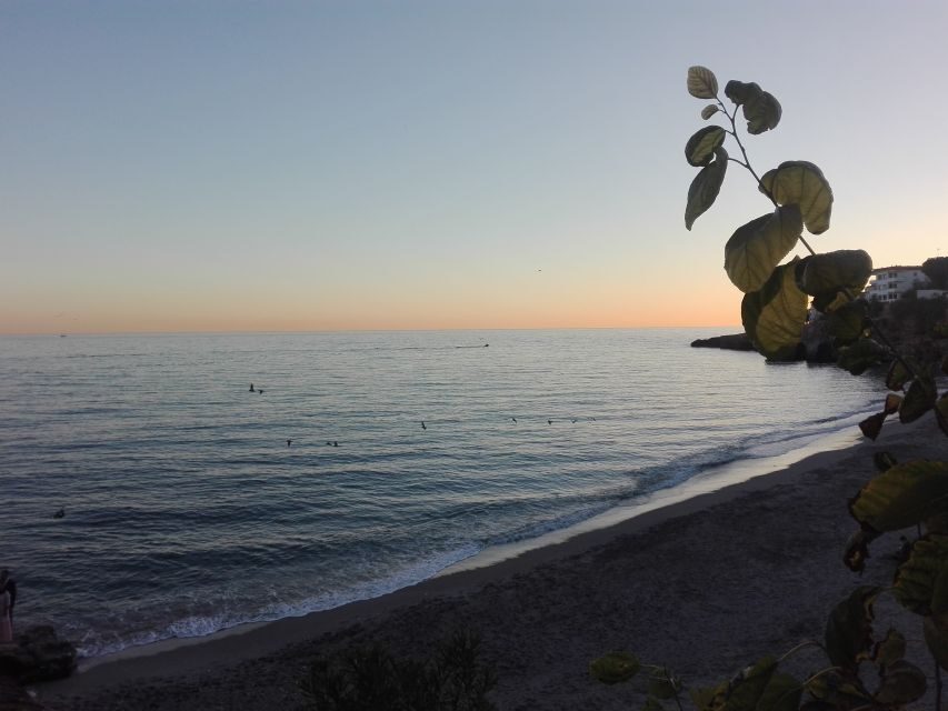 From Málaga: Skip-the-Line Nerja Cave and Frigiliana - What this day trip teaches you (beyond the sightseeing)