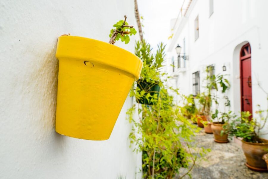 From Málaga: Skip-the-Line Nerja Cave and Frigiliana - Price and value: what $177 buys you in real time