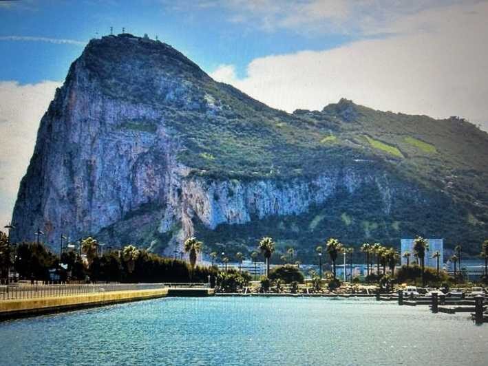 From Marbella/Estepona: VIP Gibraltar Tour Monkeys + Nature Reserve + Shopping - Key Things I’d Focus On