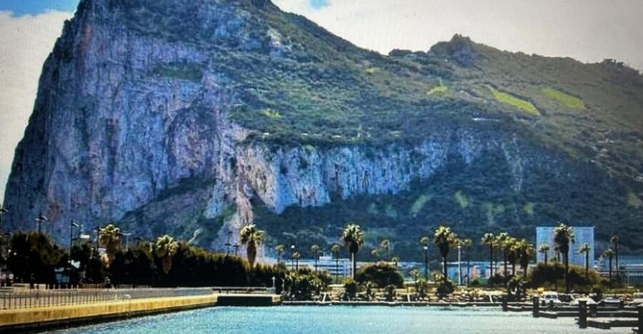 From Marbella/Estepona: VIP Gibraltar Tour Monkeys + Nature Reserve + Shopping - Up Close With Barbary Apes on the Rock