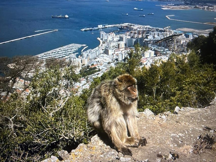 From Marbella/Estepona: VIP Gibraltar Tour Monkeys + Nature Reserve + Shopping - Rock Views: Gibraltar, Spain, and When Africa Shows Up