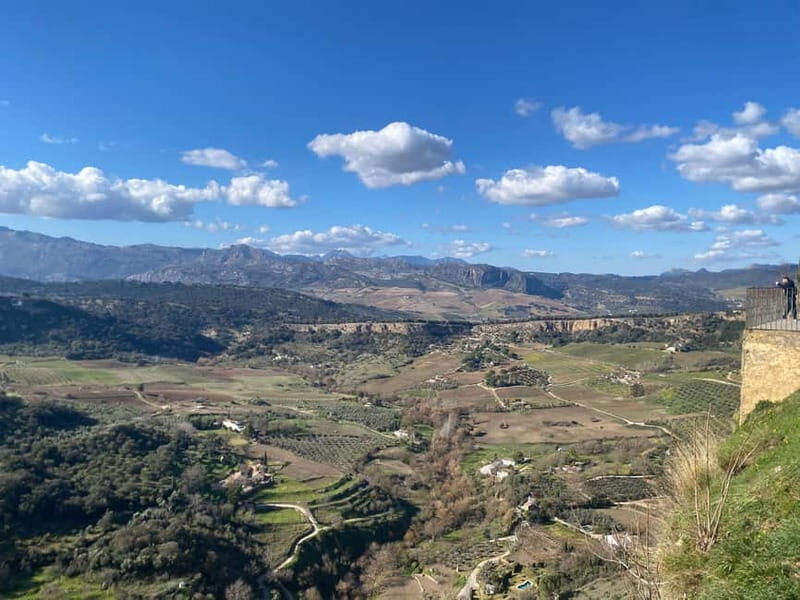 from Marbella, Estepona:Private tour Ronda incl. transfer,bullring,tapas - Ronda’s bullring museum: what you get with the included admission