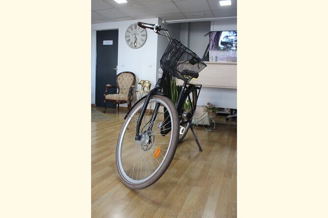 Full Day Bike Rental in Malaga - Price and Day-Long Value of $16.82