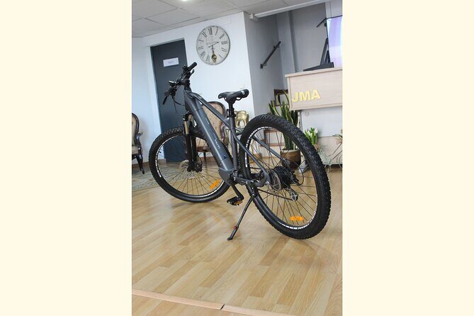 Full Day Rental of Electric Mountain E-Bike - Bikes, comfort, and staff service at SohoBikeMálaga