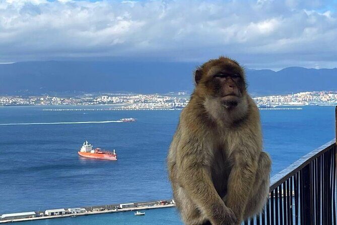 Gibraltar Private Daytrip From Malaga - Entering Gibraltar from Malaga, without the stress