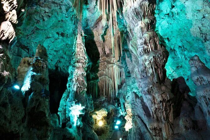 Gibraltar Private Tour from Malaga and Surrounding Areas - Apes Den: The Rock’s Wild Welcome (and Great Photo Odds)