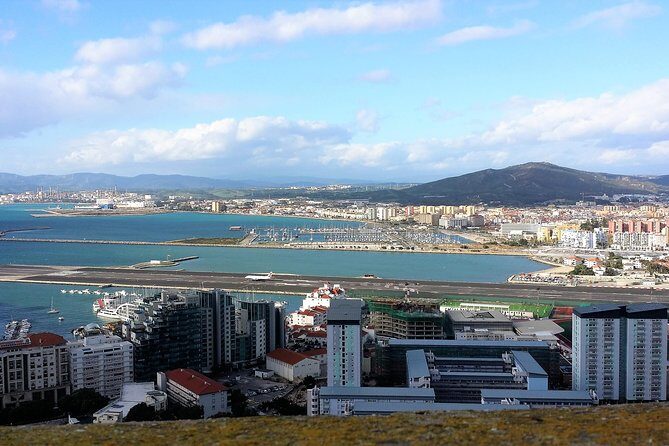 Gibraltar private tour from Marbella or Malaga - Apes Den and the Barbary Macaques: Wild in Europe