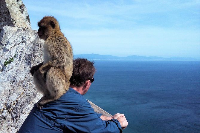Gibraltar private tour from Marbella or Malaga - Europa Point Views: North Africa If You Catch the Right Day