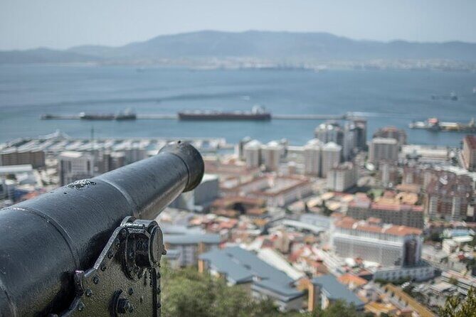 Gibraltar Small Group Tour from Malaga - Stop 3: Upper Rock Nature Reserve for the famous apes