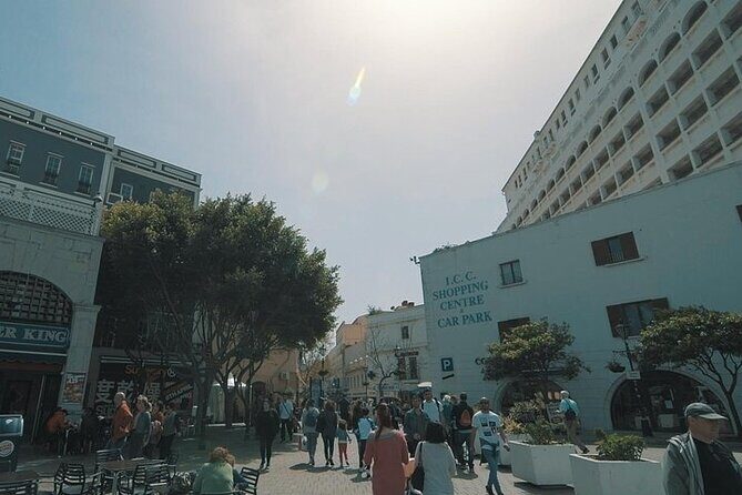 Gibraltar Small Group Tour from Malaga - Price and value: is $254.33 a fair deal?