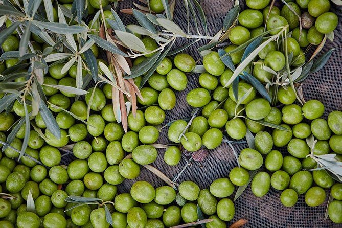 Gourmet Cooking Class & Culture in the rural Montes de Malaga. - Price and Logistics: how to plan so the day stays easy