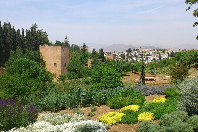 Granada Full Day Tour From Malaga - Granada Time: Walking Tour vs Free Exploration