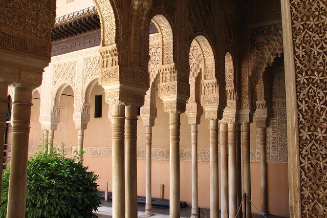 Granada Full Day Tour From Malaga - What to Pack and What to Watch For (ID, Shoes, Timing)