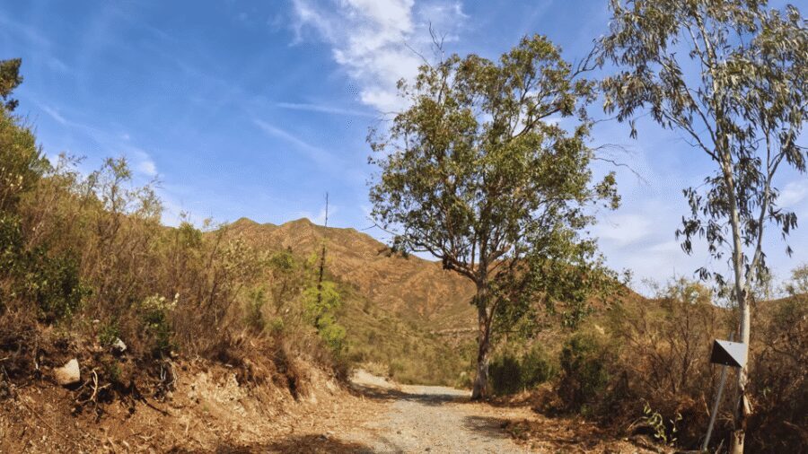 Guided Buggy Tour Mijas - More Sierra Driving: Variety Without Feeling Rushed