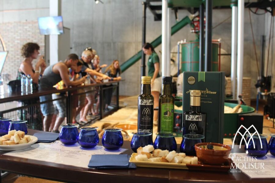 Guided tour and oil tasting at the Aceites Molisur factory - Olive oil in the real world: why this tour feels different