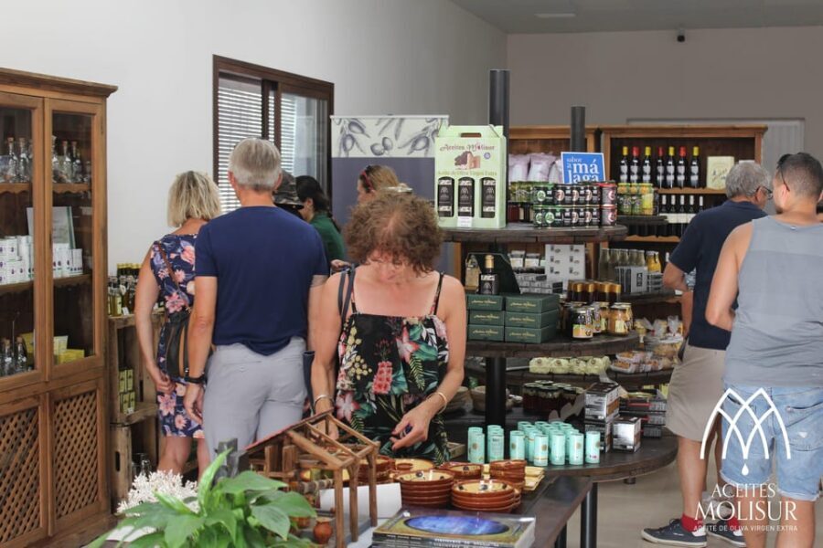 Guided tour and oil tasting at the Aceites Molisur factory - Who this fits best (and who might want a different plan)
