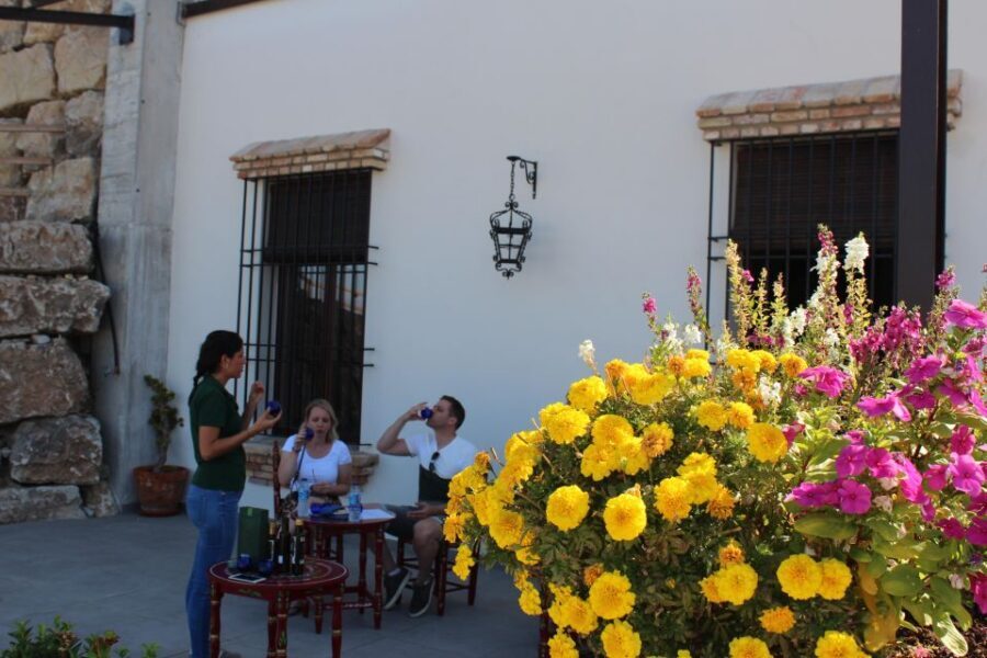 Guided tour and oil tasting at the Aceites Molisur factory - Practical tips to get the most out of your visit