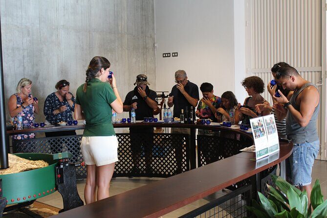 Guided tour and olive oil tasting in Alhaurin el Grande (Málaga) - Key Highlights You’ll Actually Care About