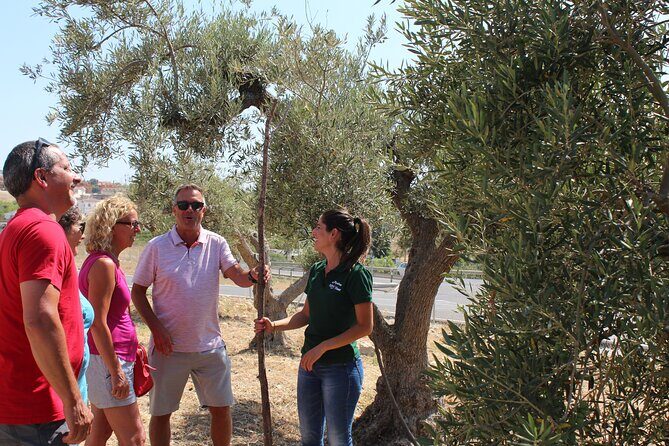 Guided tour and olive oil tasting in Alhaurin el Grande (Málaga) - Where the Tour Starts: Aceites Molisur in Alhaurín el Grande