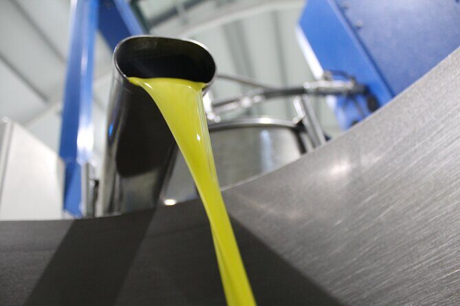 Guided tour and olive oil tasting in Alhaurin el Grande (Málaga) - Three-Oil Tasting: Learning What to Smell and Taste