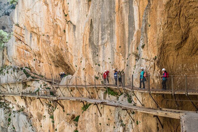 Guided Tour to Caminito del Rey from Malaga - Leaving Málaga at 8:00 am: where to meet and how to avoid stress