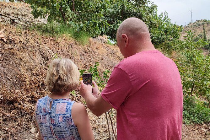 Guided Tour to the only coffee farm in Europe - Sustainable Farming Talk You Can Actually Use