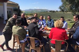 Guided tour with tasting - Inside the winery: elaboration, bottling, and aging