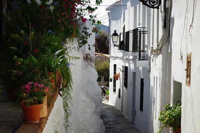 Guided Walking Tour of the Old Town of Frigiliana - Meeting Point and Route Feel: Where It Starts and How It Moves