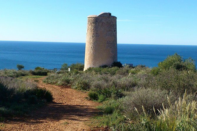 Half-Day Malaga Small-Group Hiking and Snorkeling Tour - Beach time in the natural park: swimming and optional snorkeling (with gear provided)