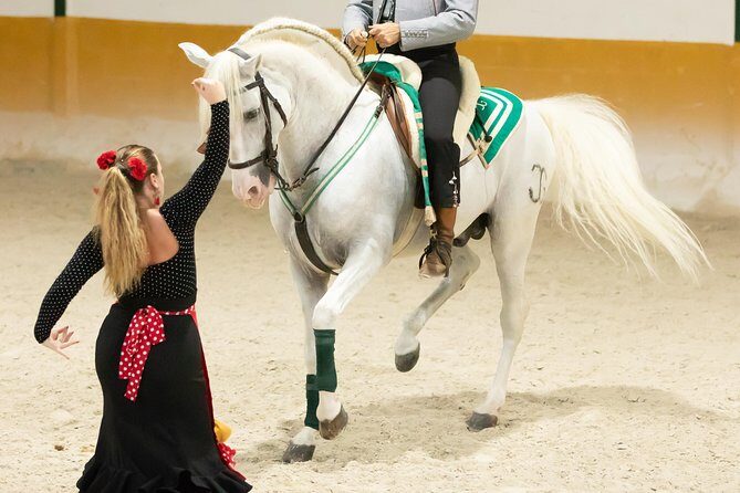 Horse and Flamenco Show in Malaga - Pre-show stable time: seeing horses before the music