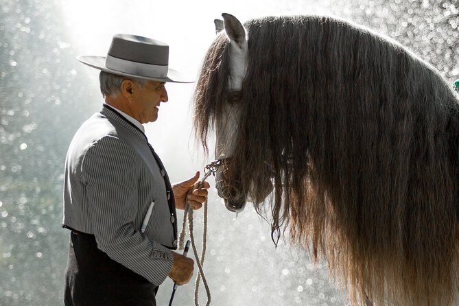 Horse and Flamenco Show in Malaga - Practical tips for seating, timing, and comfort