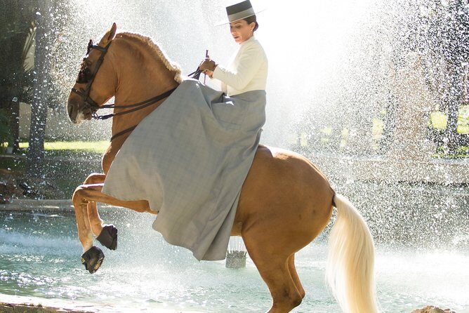 Horse and Flamenco Show in Malaga - The horse-treatment question: how to decide if you’re sensitive