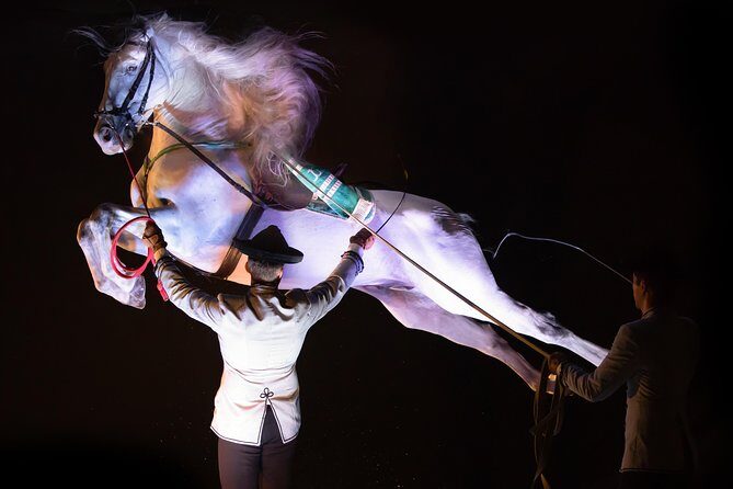 Horse and Flamenco Show in Malaga - Who should book this in Malaga?