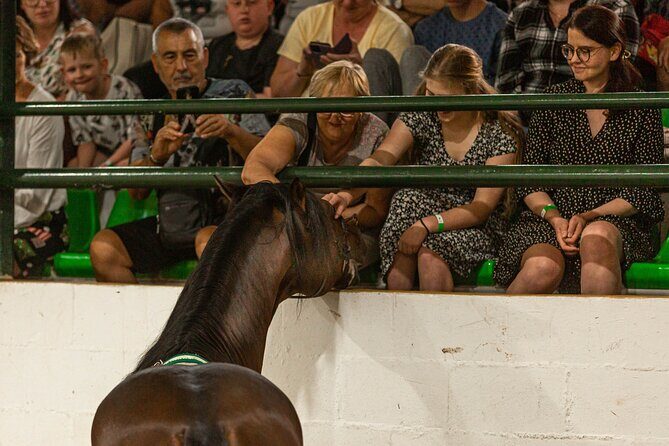 Horse and Flamenco Show in Malaga with Dinner - Dinner at the typical Andalusian restaurant: set menu, real pacing