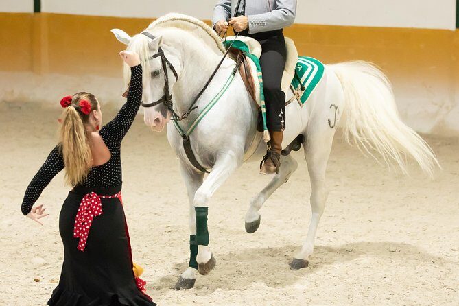 Horse and Flamenco Show in Malaga with Dinner - Flamenco with José Lucena’s Company: the closing act