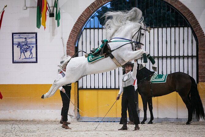 Horse and Flamenco Show in Malaga with Dinner - Should you book this Malaga horse-and-flamenco night?
