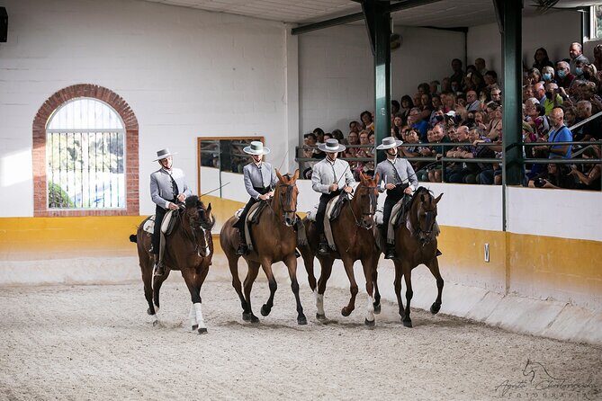 Horse and Flamenco Show in Malaga with Dinner - Club Hípico El Ranchito: stables time and a real equestrian stage