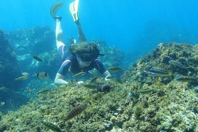 Kayak & Snorkel Tour in Cerro Gordo Natural Park, La Herradura - Snorkel stops: great when conditions cooperate