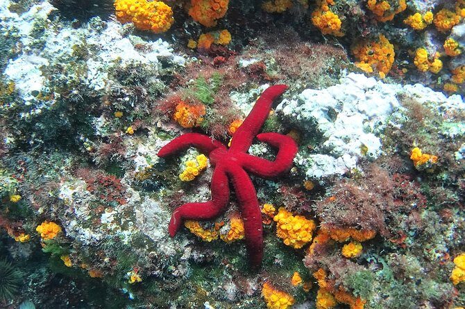 Kayak & Snorkel Tour in Cerro Gordo Natural Park, La Herradura - Weather, safety, and how the guides handle changes