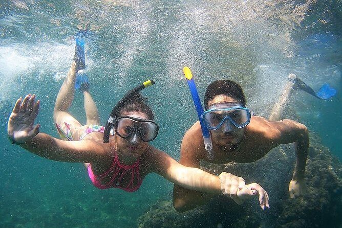 Kayak & Snorkel Tour in Cerro Gordo Natural Park, La Herradura - Should you book the Cerro Gordo kayak and snorkel tour?
