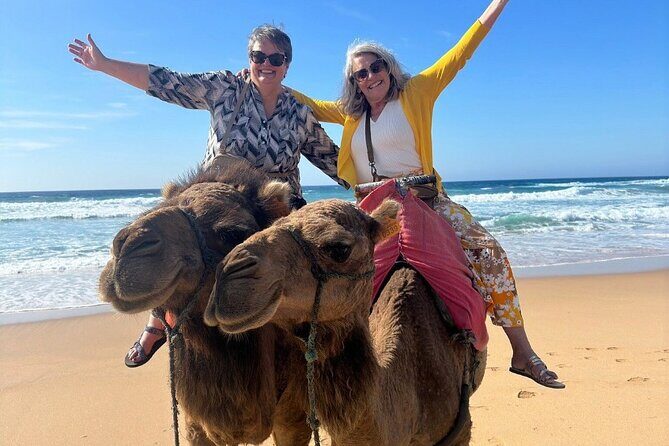Luxury Private Tour of Tangier from Marbella All Inclusive - Parc Perdicaris: The Story Behind the Green Break