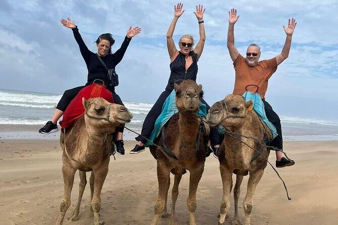 Luxury Tangier Private Day Tour from Malaga All inclusive - A Fast, High-Comfort Way to Reach Tangier from Malaga
