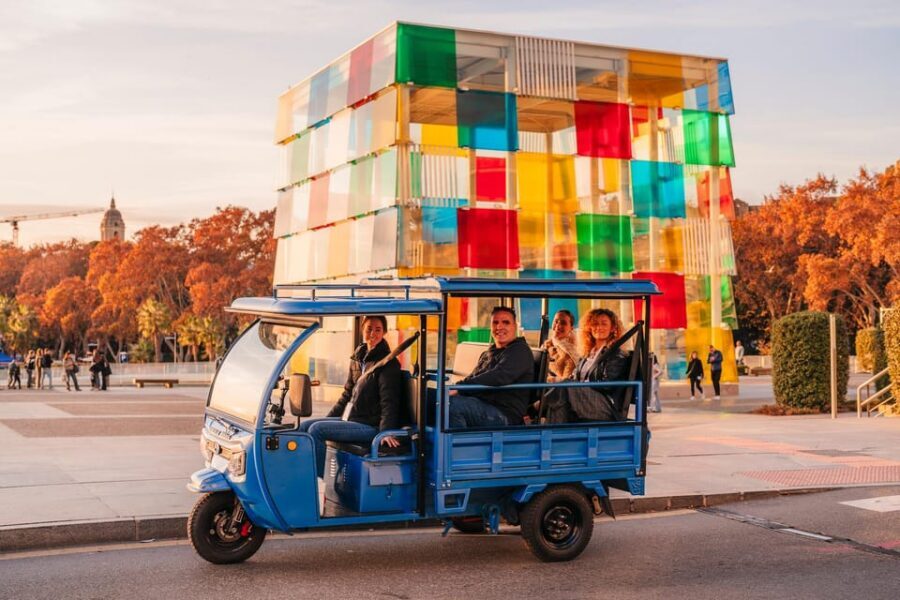 Málaga 1-hour by TukTuki: Essential and Private Tour - Key things that make this TukTuk-i Málaga tour work