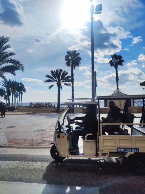 Málaga 1-hour by TukTuki: Essential and Private Tour - Why the private TukTuk format feels better than a big bus