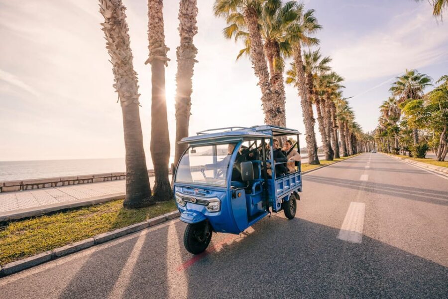 Málaga 2-Hour TukTuki Tour: Private Experience - Gibralfaro Outlook: The Stop That Changes How You See Malaga