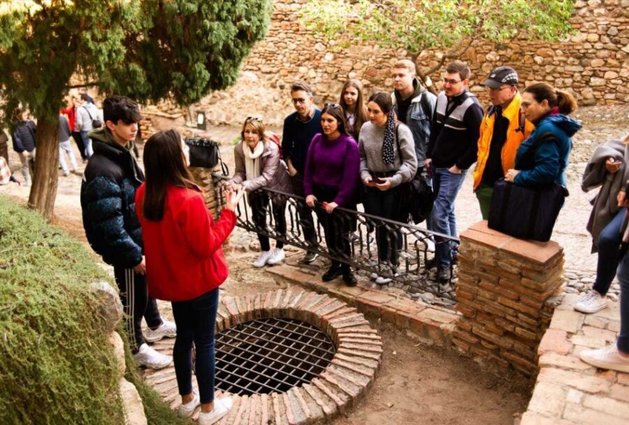 Málaga: Alcazaba and Roman Theatre Guided Tour With Entry - Which Guide Style Fits You Best?