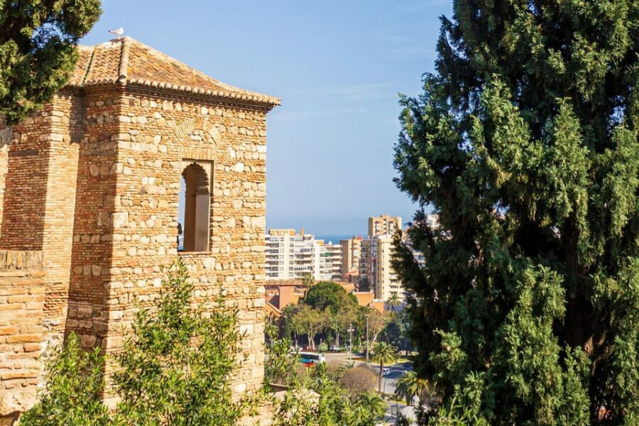 Malaga: Alcazaba and Roman Theatre Private Tour With Tickets - Alcazaba fortress: Moorish power, gardens, and art you can spot